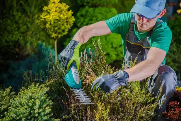 landscaping services West Manchester